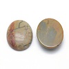 Natural Polychrome Jasper/Picasso Stone/Picasso Jasper Cabochons G-P393-I08-2