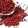 Picasso Baking Paint Glass Seed Beads SEED-A032-02A-09-1
