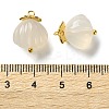 Natural Agate Shell Shaped Pendants G-G179-04-3