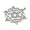304 Stainless Steel Pendants STAS-M067-09P-2
