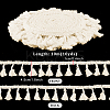 Cotton Fringe Lace Trim Ribbon OCOR-WH0105-008A-2