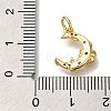 Rack Plating Brass Micro Pave Cubic Zirconia Charms KK-I720-61G-3