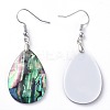 Abalone Shell/Paua Shell Dangle Earrings EJEW-K081-02B-2