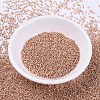 MIYUKI Delica Beads SEED-X0054-DB0434-2