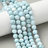 Natural Larimar Beads Strands G-B141-01-8mm-1