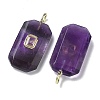 Natural Amethyst Faceted Pendants G-F819-02G-03-2