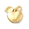 304 Stainless Steel Pendants STAS-B103-01E-G-1