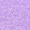 MIYUKI Delica Beads SEED-X0054-DB0248-3