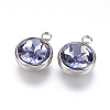 Glass Rhinestone Charms STAS-G082-14-1