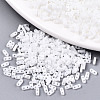 2-Hole Glass Seed Beads SEED-S031-S-SQ41-1