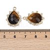 Natural Tiger Eye Faceted Pendants G-K347-06G-01-3