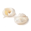 Natural Sea Shell Pendants SSHEL-C013-03-2