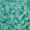 Transparent Colours Glass Seed Beads SEED-R001-01Q-2