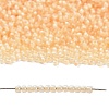 TOHO 11/0 Round Beads X-SEED-TR11-0352-4