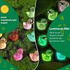 120Pcs 12 Colors Mini Luminous Resin Sunglasses Duck Display Decorations RESI-SZ0003-33-3