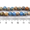 Dyed Natural Regalite/Imperial Jasper/Sea Sediment Jasper Beads Strands X-G-B124-C02-15-3