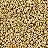 FGB 8/0 Grade A Round Glass Seed Beads X-SEED-N002-C-0561-3