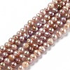 Natural Cultured Freshwater Pearl Beads Strands PEAR-L033-05B-01-1