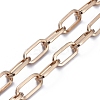 Iron Paperclip Chains Bag Straps AJEW-BA00001-3