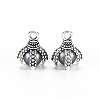Tibetan Style Alloy Charms PALLOY-S120-249F-RS-2