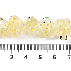 Transparent Glass Enamel Beads Strands GLAA-B021-05C-4