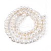 Natural Cultured Freshwater Pearl Beads Strands LS-PEAR-N013-04A-3