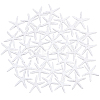 Resin Cabochons RESI-PH0001-34-WH-1