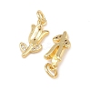 Brass Micro Pave Clear Cubic Zirconia Charms KK-G544-06G-01-2