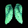 Luminous Transparent Epoxy Resin Pendants RE-CBAE738-01D-5
