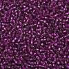 TOHO 8/0 Round Beads SEED-XTR08-2223-2