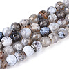 Dyed & Heated Natural Fire Crackle Agate Beads Strands G-N359-01A-03-2