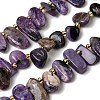 Natural Charoite Beads Strands G-P604-A29-01-2