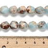 Dyed Natural Howlite Imitation Shoushan Stone Beads Strands G-G203-08F-5