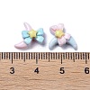Opaque Cute Resin Decoden Cabochons RESI-B024-03G-3