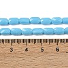 Opaque Glass Beads Strands GLAA-Z018-D20-4