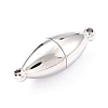 Tarnish Resistant 304 Stainless Steel Magnetic Clasps with Loops LS-STAS-M290-06A-P-2