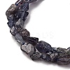 Natural Iolite/Cordierite/Dichroite Beads Strands G-I389-A34-01B-4