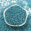 Glass Seed Beads SEED-S042-04A-13-2