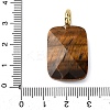 Natural Tiger Eye Faceted Pendants G-B186-01G-08-3