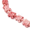 Synthetic Coral Dyed Beads Strands SHEL-Z003-04B-3