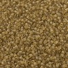 MIYUKI Delica Beads SEED-MY11-DB0771-3