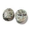 Natural Sesame Jasper Cabochons G-C115-01B-29-2