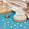 3 Strands 2 Styles Natural Freshwater Shell Beads Strands SHEL-HS0001-10-5