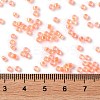 Glass Seed Beads SEED-S042-13A-06-4