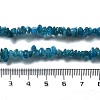 Natural Supper 7 Rutilated Quartz Chip Beaded Necklaces for Men Women NJEW-G159-01I-5