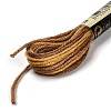 10 Skeins 6-Ply Polyester Embroidery Floss OCOR-K006-A39-2