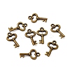 Gifts Ideas for Her Tibetan Style Alloy Charms LS-MLF11975Y-NF-3