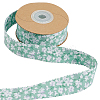 Polyester Ribbon SRIB-WH20020-084C-7