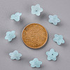 Transparent Acrylic Beads PL554-11-4