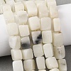 Natural White African Opal Beads Strands G-D098-D04-02-1